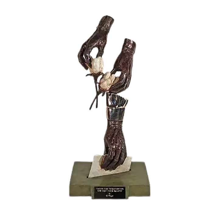 Hands That Picked Cotton, Now Cast Their Ballots II - Master