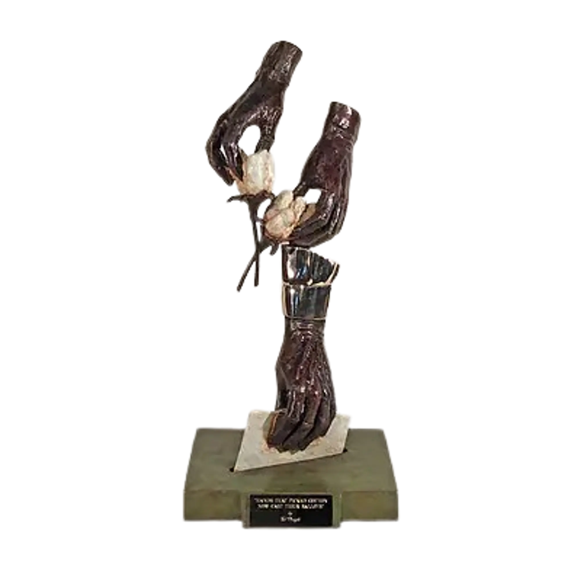 Hands That Picked Cotton, Now Cast Their Ballots II - Master